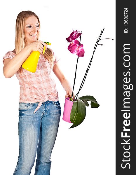Woman in red gloves watering orchid flowers. Woman in red gloves watering orchid flowers
