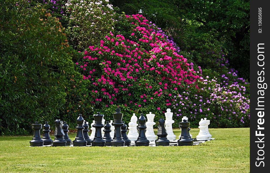 Chess game in a beautiful lawn setting. Chess game in a beautiful lawn setting.