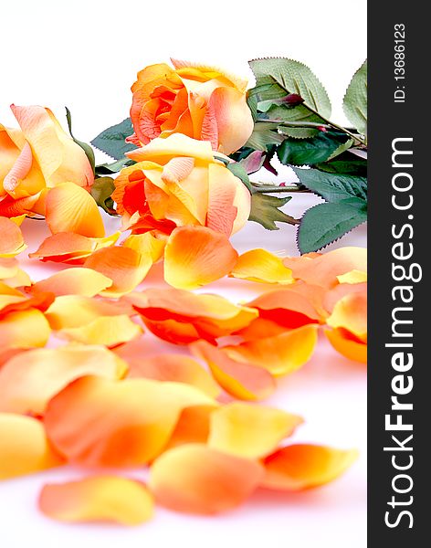 Nice white still life with orange roses.