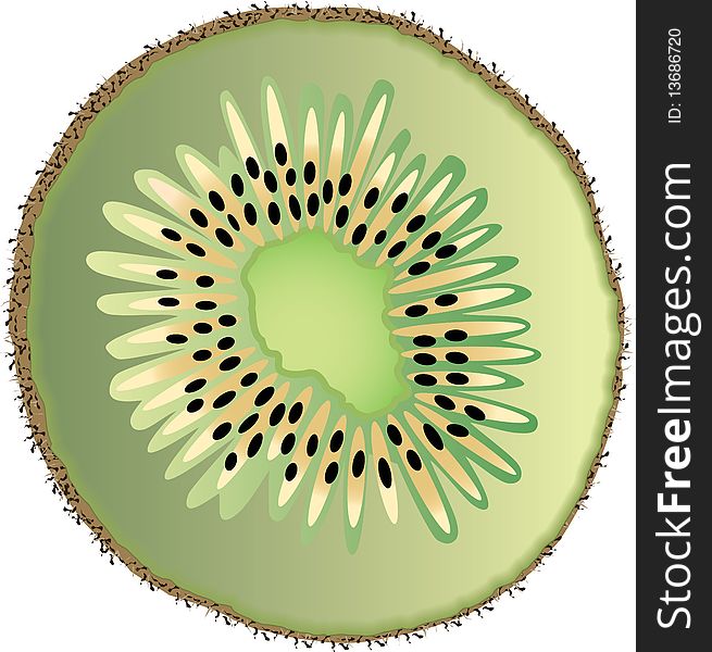 A  illustration of a fresh, juicy, sliced kiwi, isolated on a white background