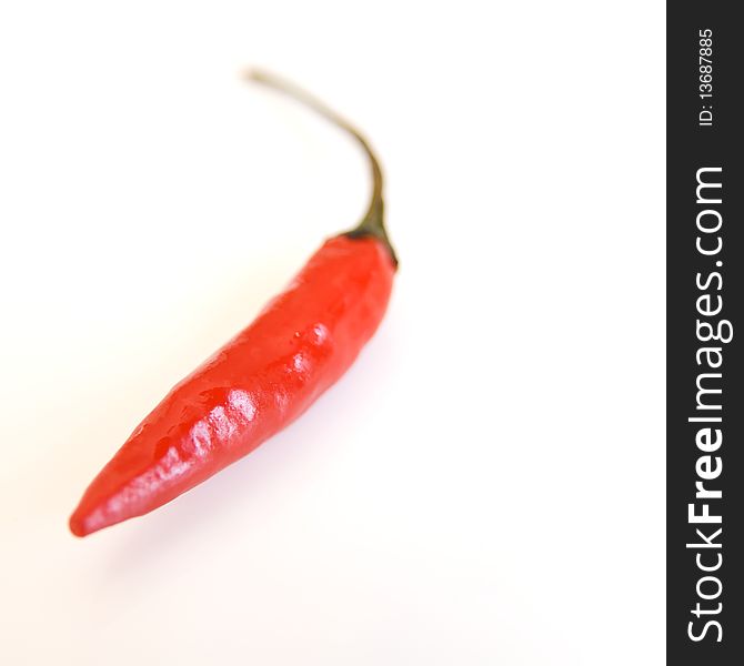 Close up of Thai chili pepper on white background