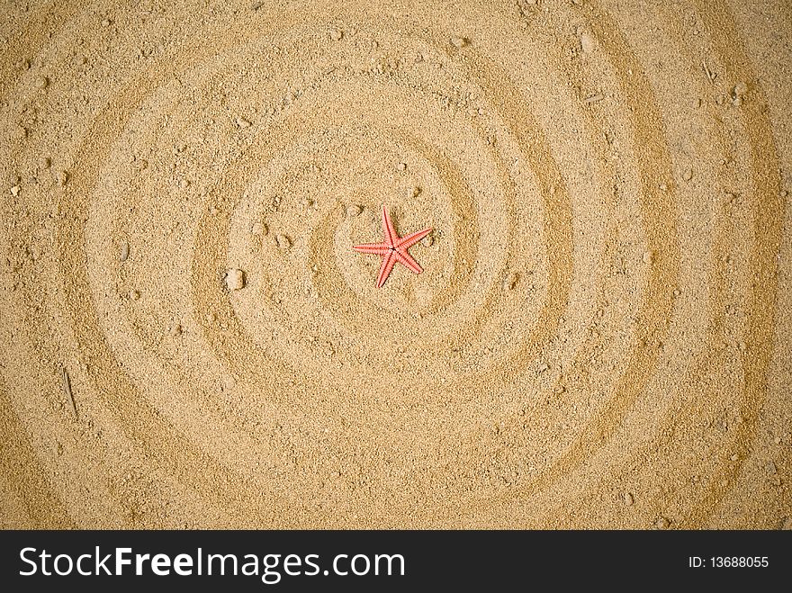 Little starfish on brown sand