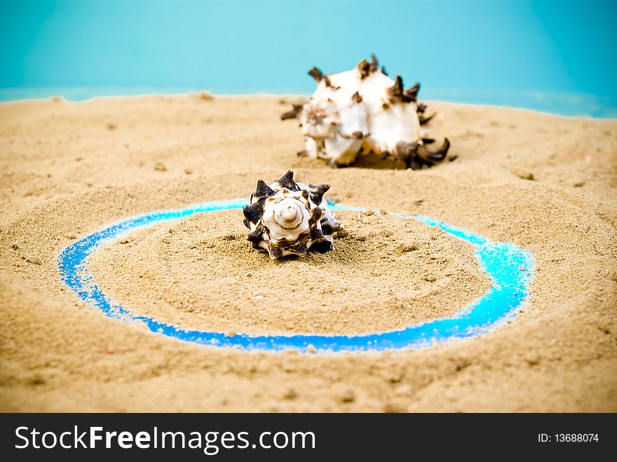Two sea shells on sand. Two sea shells on sand