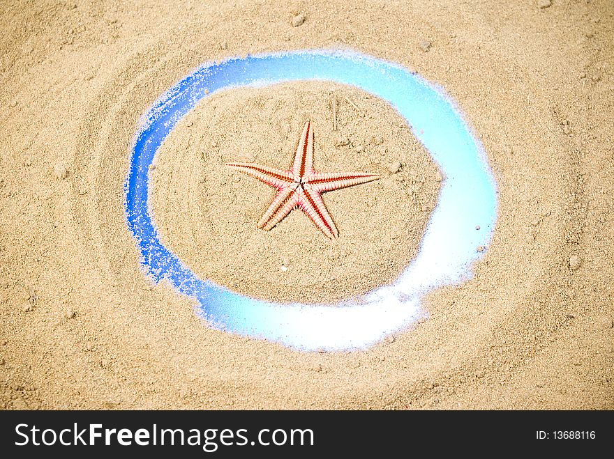 Red starfish on sand and blue circle. Red starfish on sand and blue circle