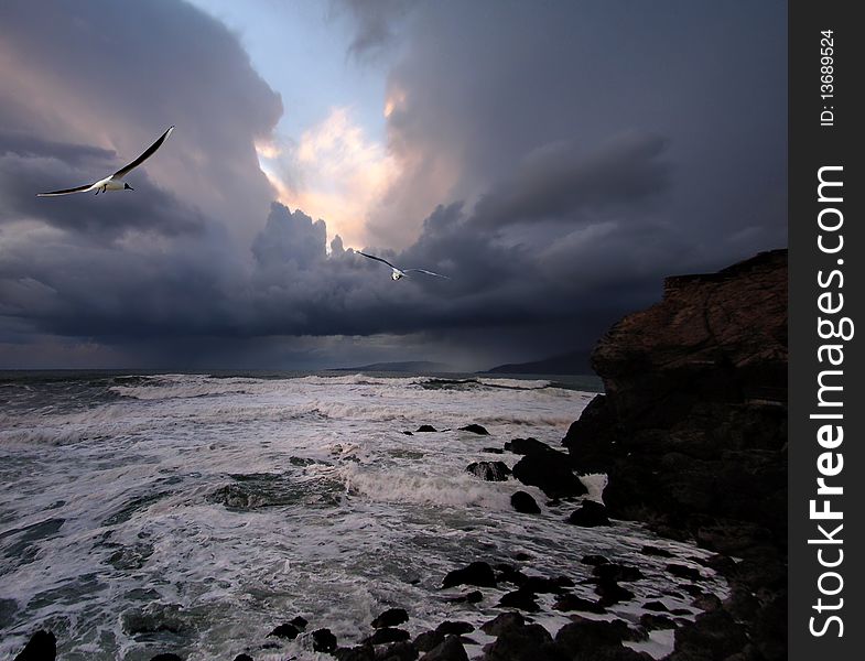 In a photo the sea landscape, together with flying birds is represented