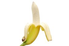 An Opening Banana Stock Images An Opening Banana Stock Images