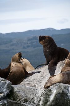 Tierra Del Fuego Royalty Free Stock Image Tierra Del Fuego Royalty Free Stock Image
