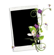 White Frame With Crocus And Spring Branch Stock Photo