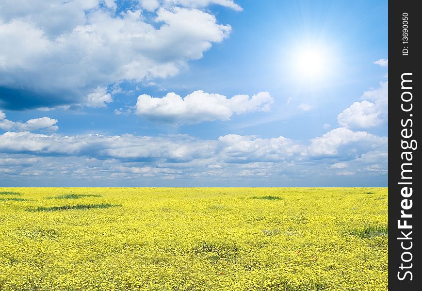 Yellow flowers on field and white clouds on blue sky background. Yellow flowers on field and white clouds on blue sky background.