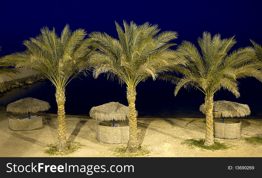 Parasols and palm trees on a tropical beach at night