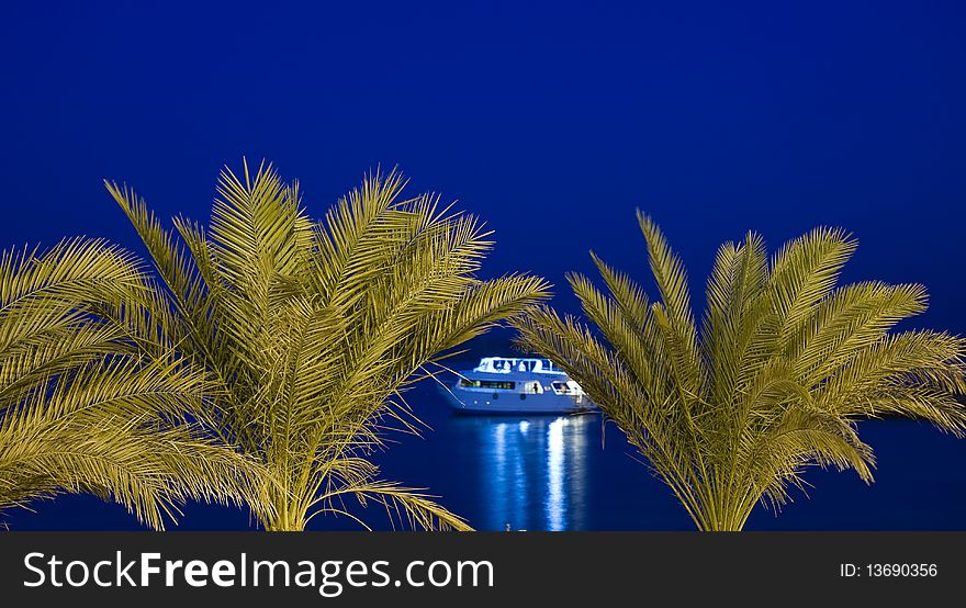 Private boat at night framed by palm trees. Private boat at night framed by palm trees