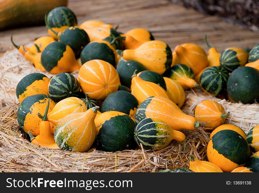 Pumpkins on the straw