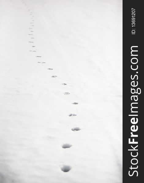 Footprints On The Snow