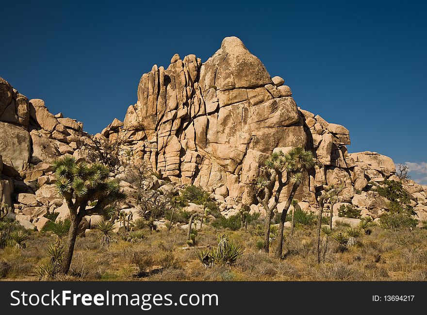 Scenic rocks in Joshua Tree National Park  in Hidden valley. Scenic rocks in Joshua Tree National Park  in Hidden valley