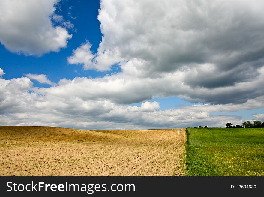 Rural fields landscape with clouds. Rural fields landscape with clouds