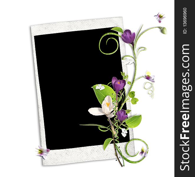 White Frame With Crocus And Spring Branch