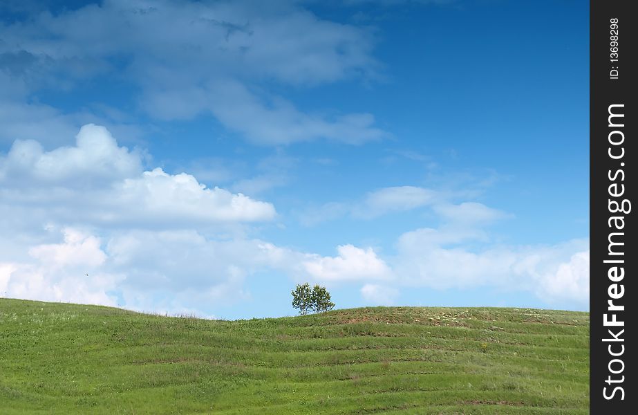 Summer landscape with blue sky.