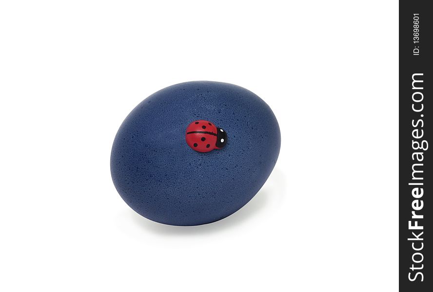 Dark blue Easter egg and red ladybird