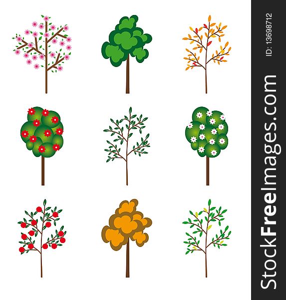 The Collection Of Trees