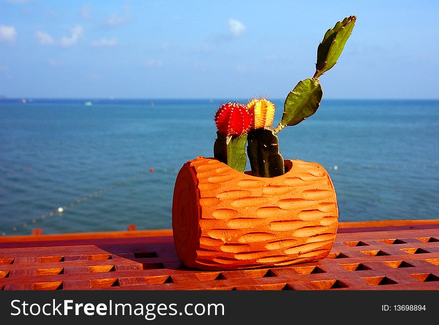 Colorful cactus on the table next to the sea. Colorful cactus on the table next to the sea