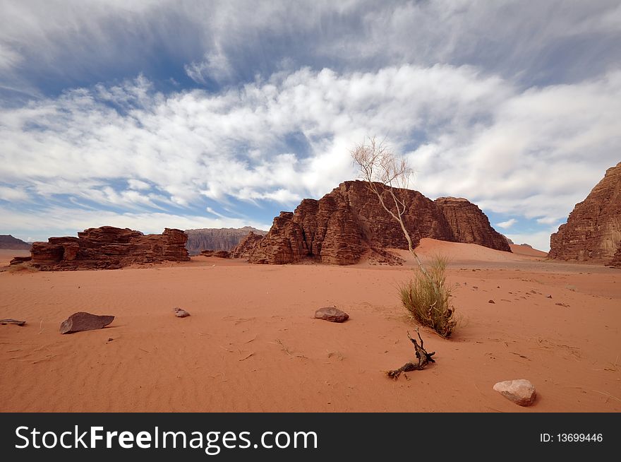 Wadi Rum Landscape (wide Angle)