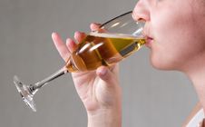 Lady And Champagne Stock Images Lady And Champagne Stock Images