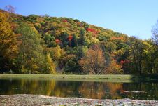 Colorful Fall Foilage On Hills Stock Photography Colorful Fall Foilage On Hills Stock Photography