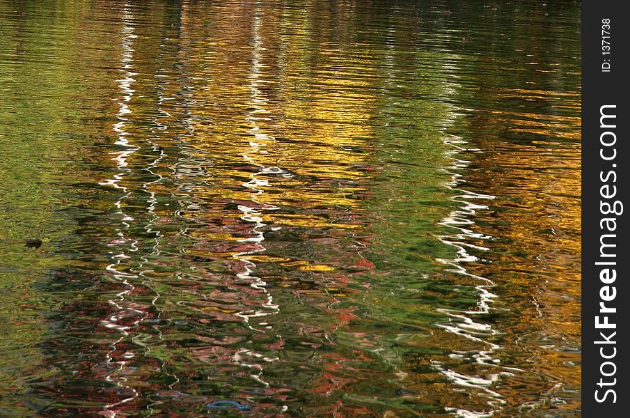 Autumn lake abstract with birch trees