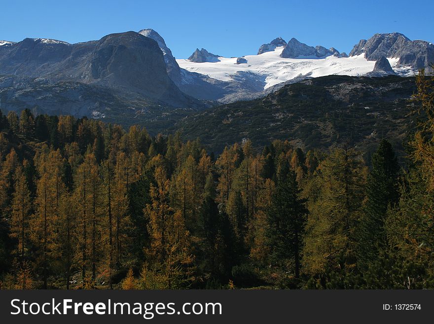 Mountains with glacier with forest in the foreground. Mountains with glacier with forest in the foreground