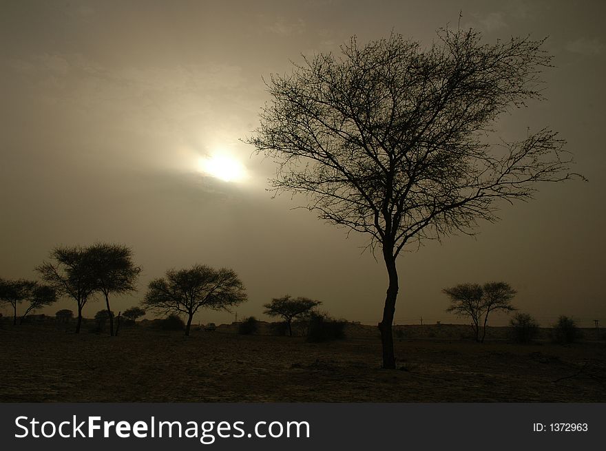 Taken in Rajastan desert just before the sun started dipping.