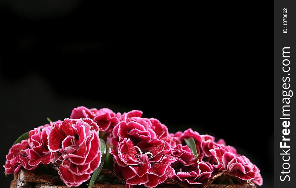 A Red flower bouquet over black background