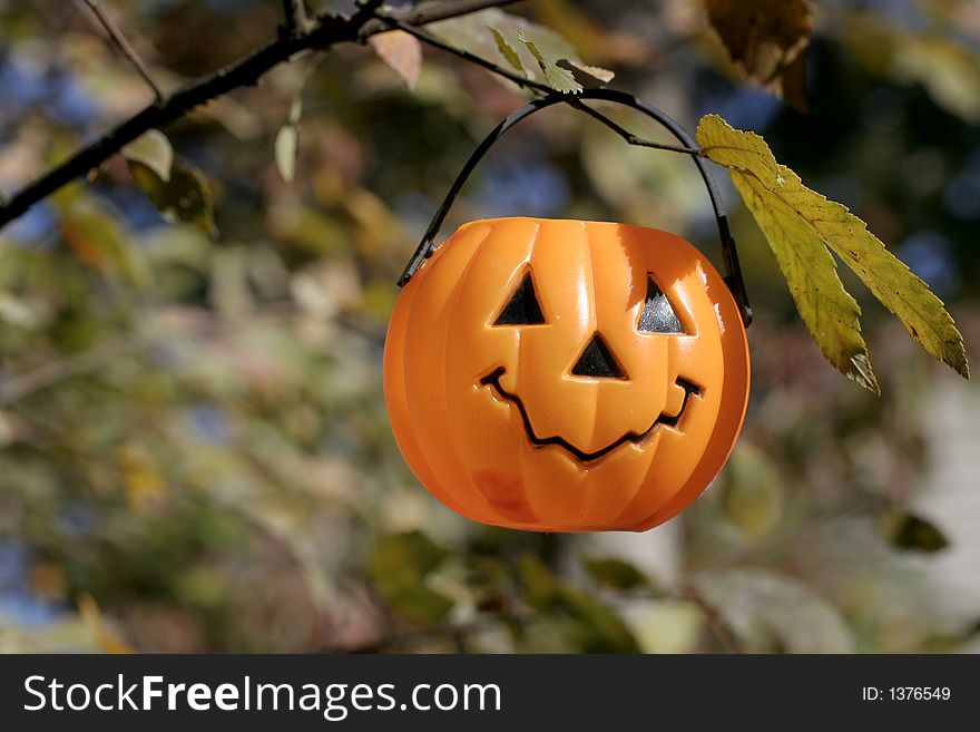 Child's plastic pumpkin pail hanging on tree branch in the sun. Child's plastic pumpkin pail hanging on tree branch in the sun