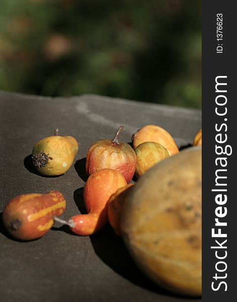 Mini gourds with large gourd