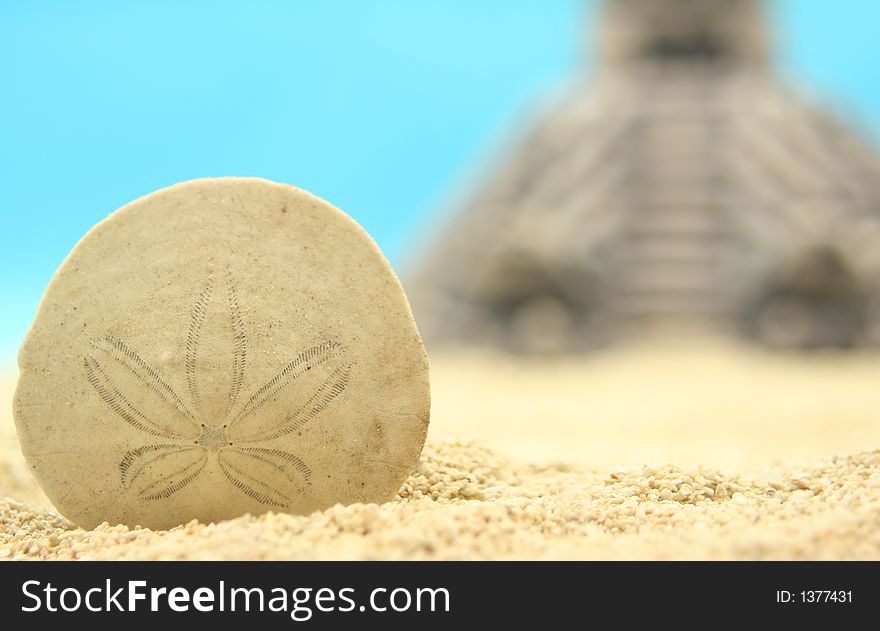 Sand Dollar and Pyramid on Sand, Close-up