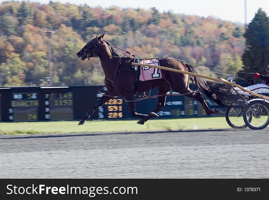 All four feet off ground blurred background great race pix. All four feet off ground blurred background great race pix