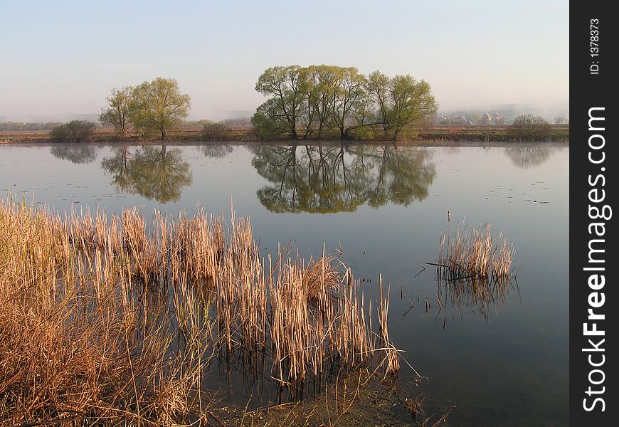 Reflection. Trees are reflected in lake as in a mirror.