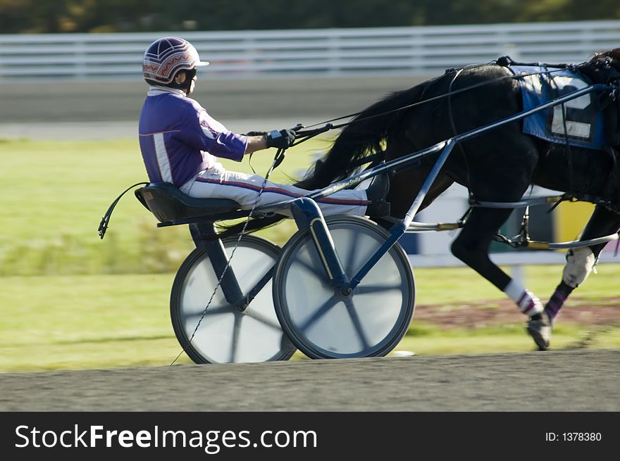 Closeup of harness race driver during race. Closeup of harness race driver during race