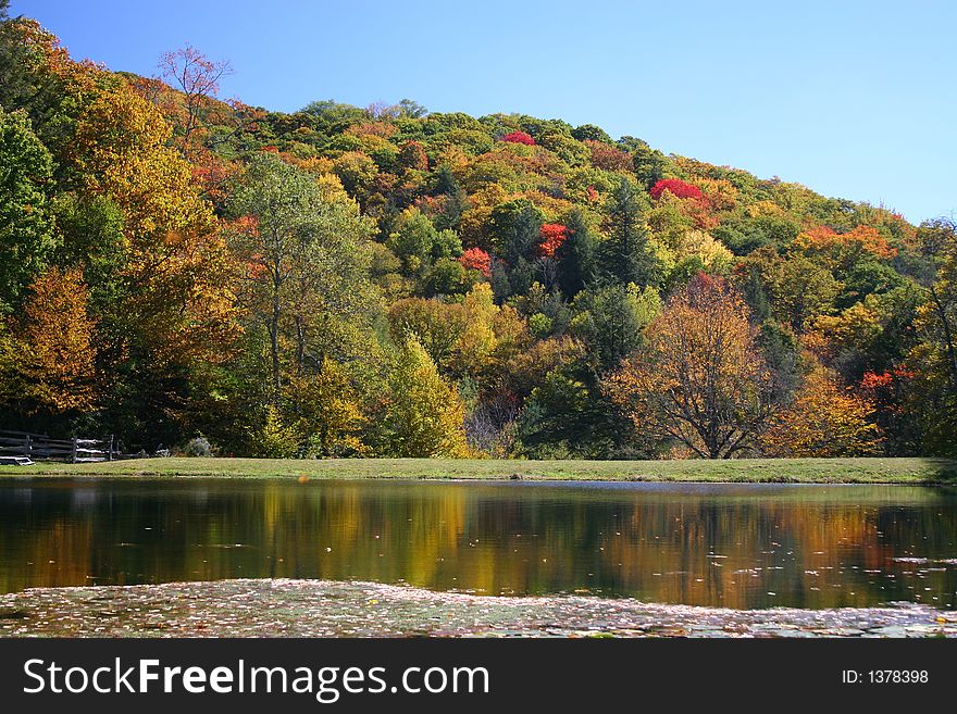 Colorful fall foilage on a hillside with blue sky , reflecting on a pond. Colorful fall foilage on a hillside with blue sky , reflecting on a pond
