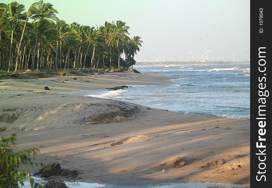 Beautiful sea-shore . cocnut trees here enhances its beauty more and more. Beautiful sea-shore . cocnut trees here enhances its beauty more and more.