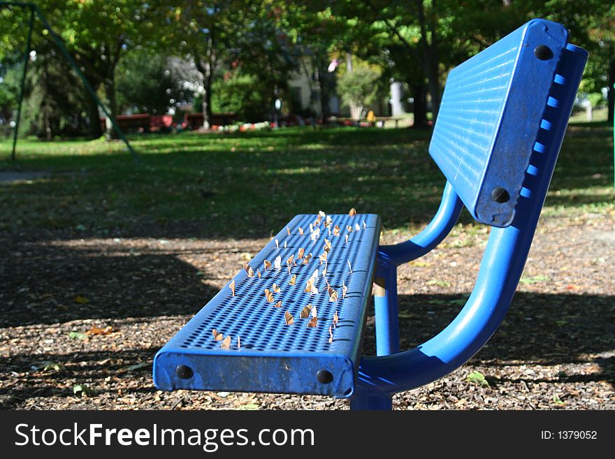 Blue park bench with leaves on it