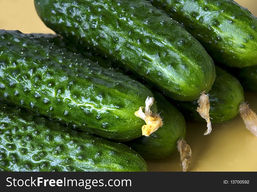 Fresh green cucumbers on the yellow plate