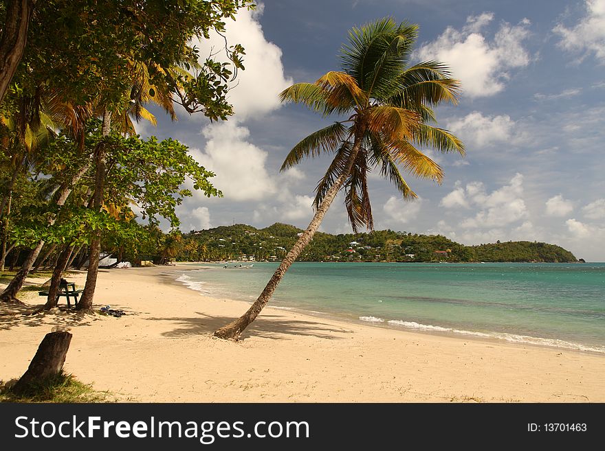 Deserted sandy beach with palm trees in the Caribbean