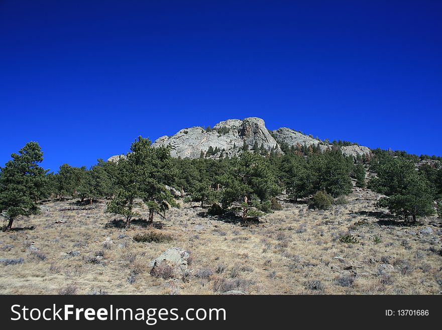 Uphill View On A Mountainside