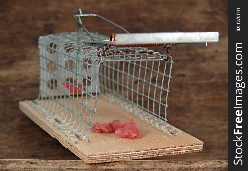 Mousetrap live traps with meat