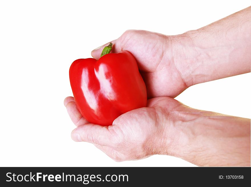 Red pepper in hands of the man