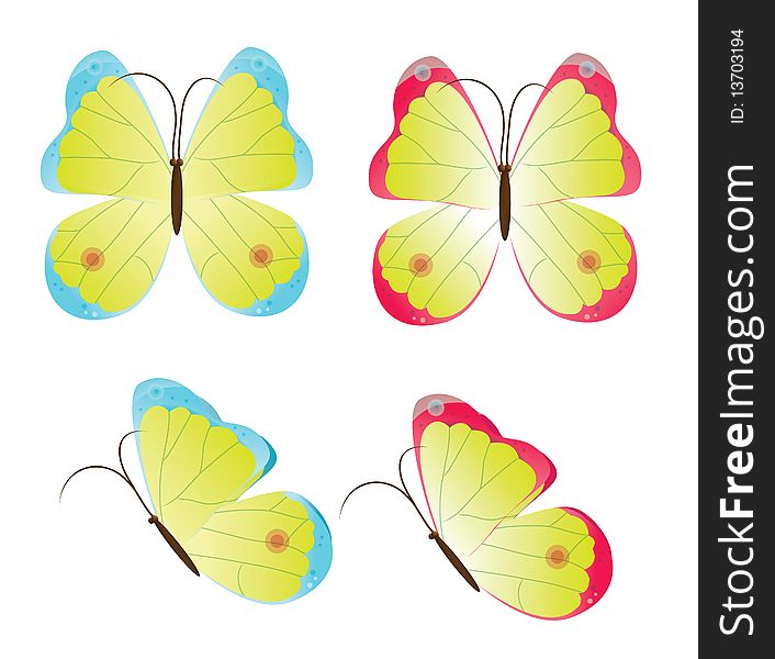 Set of 4 multucolored butterflies. Set of 4 multucolored butterflies