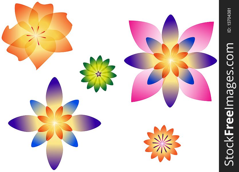 Illustrations of colorful, different shaped flowers