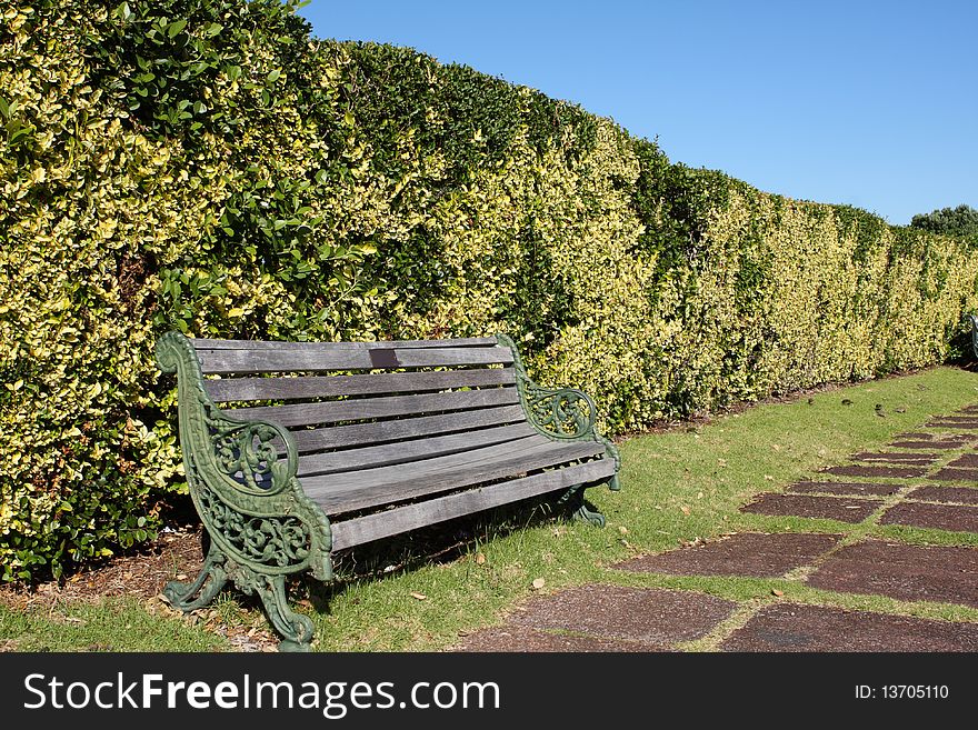 Wooden bench sheltered by high hedge. Wooden bench sheltered by high hedge