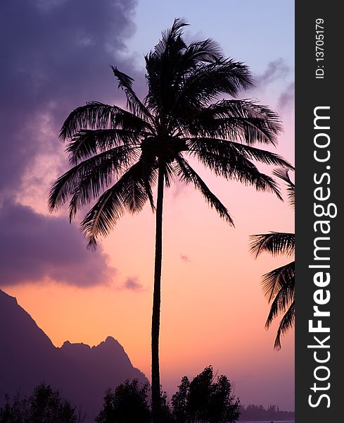 Colorful tropical sunset in Princeville, Kauai with silhouetted palm tree