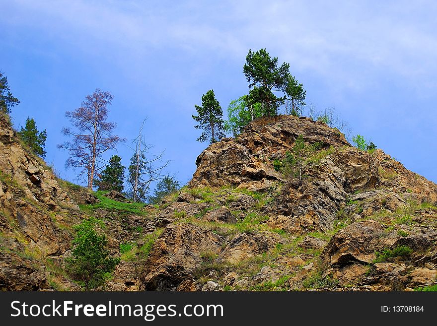 Part of a hill. Forest.